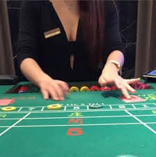 rummy app
